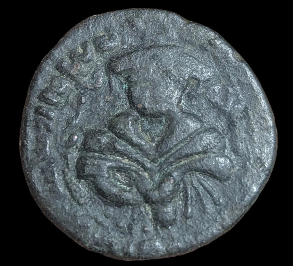 1199-1259 伊斯兰阿尤布王朝纳吉姆·丁·阿尤布·马亚法里欣AE迪拉姆十字军东征