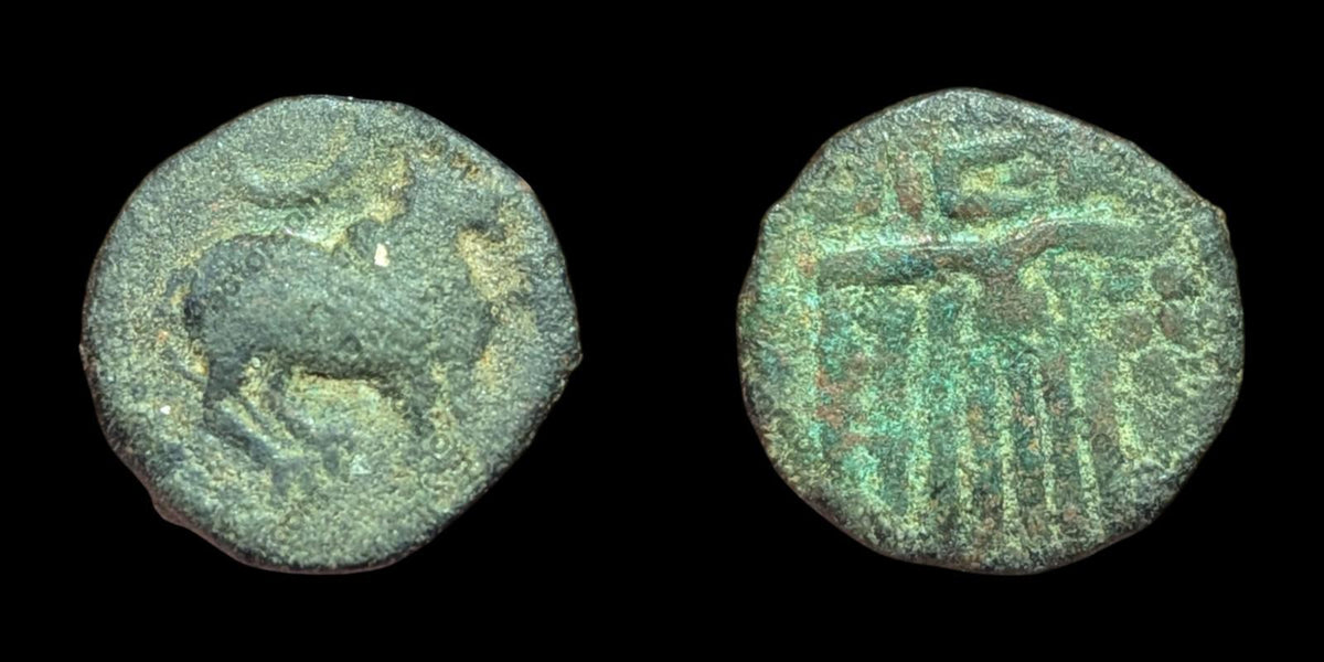 India IPS Tinnevelly Kasu Perunjinga Pallavas Sendamangalam 1228-1278*