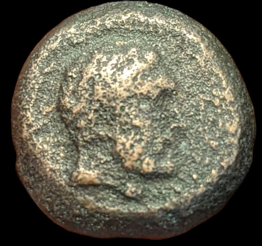 Bactria Euthydemos I, Bronze chalkous (unit), c. 230-220 BCE