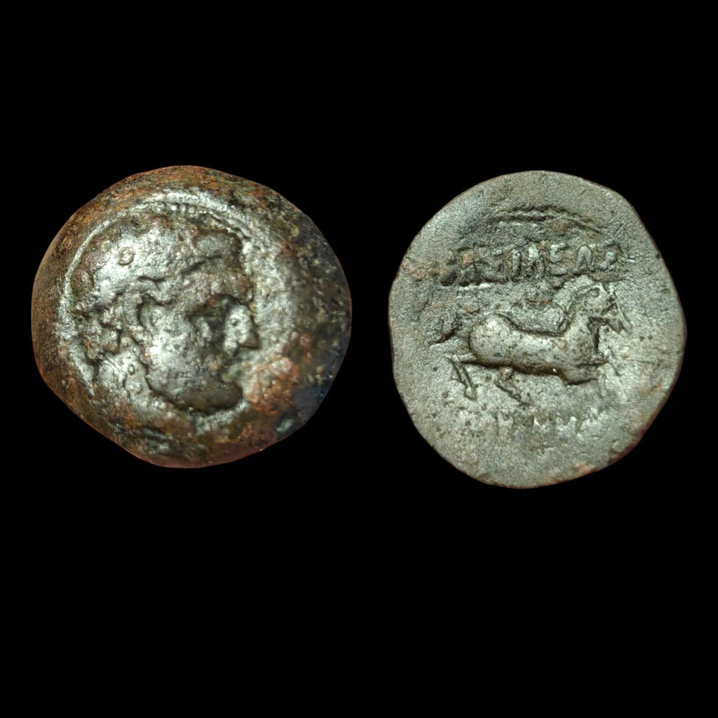 Indo-Grecs anciens, Roi de Bactriane Euthydème 230-190 av. J.-C. Demi-chalque en cuivre