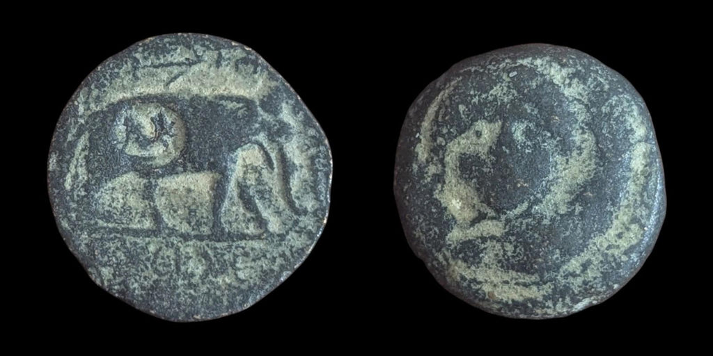 SELEUKID KINGS. Antiochus III ‘the Great’. 222 - 187 BC, RARE - Numis Hobby Shop