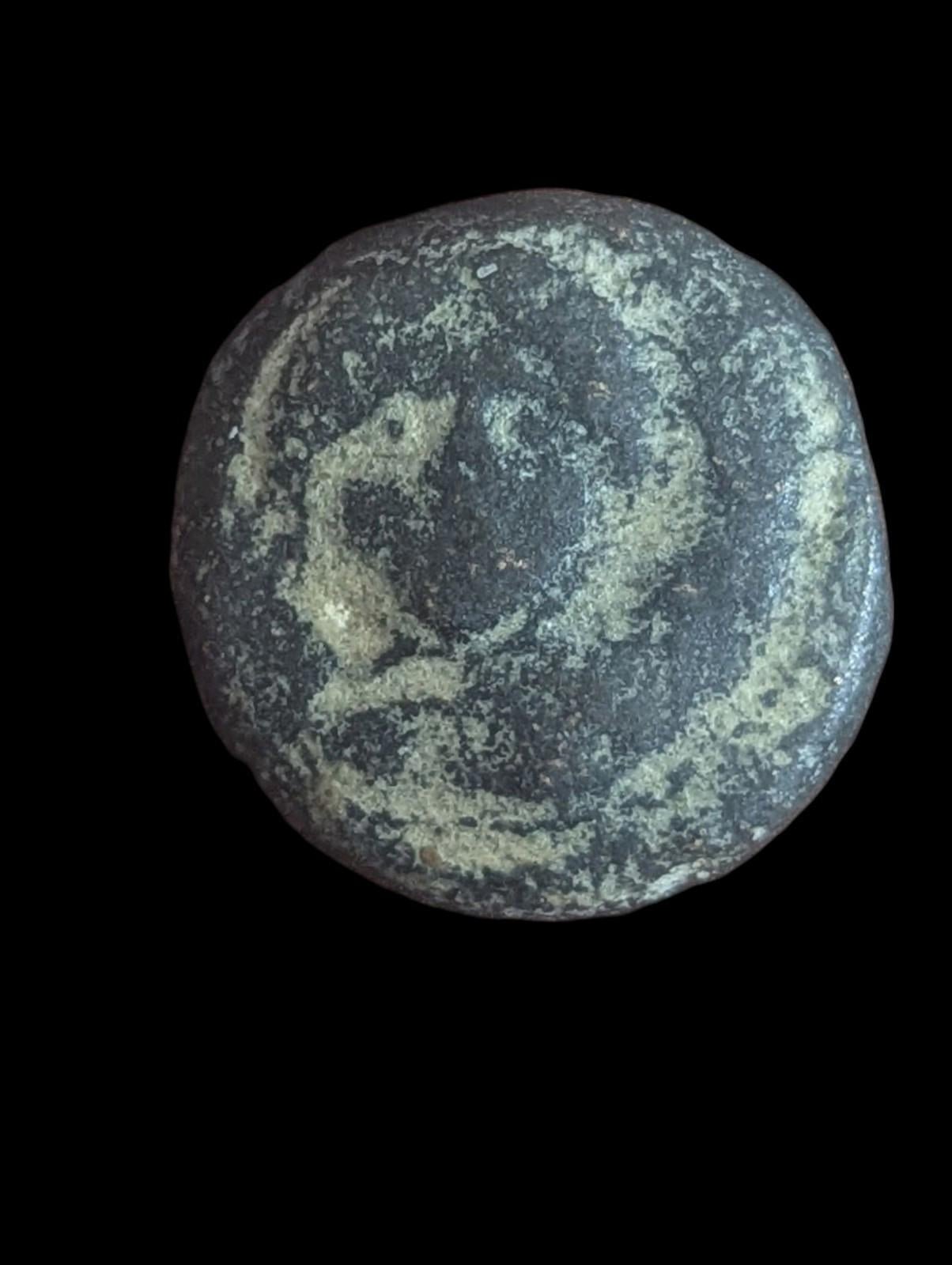 SELEUKID KINGS. Antiochus III ‘the Great’. 222 - 187 BC, RARE - Numis Hobby Shop