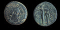SELEUKOS I Nikator 300BC Authentic Ancient SELEUKID Greek Coin ATHENA Wow Grade - Numis Hobby Shop