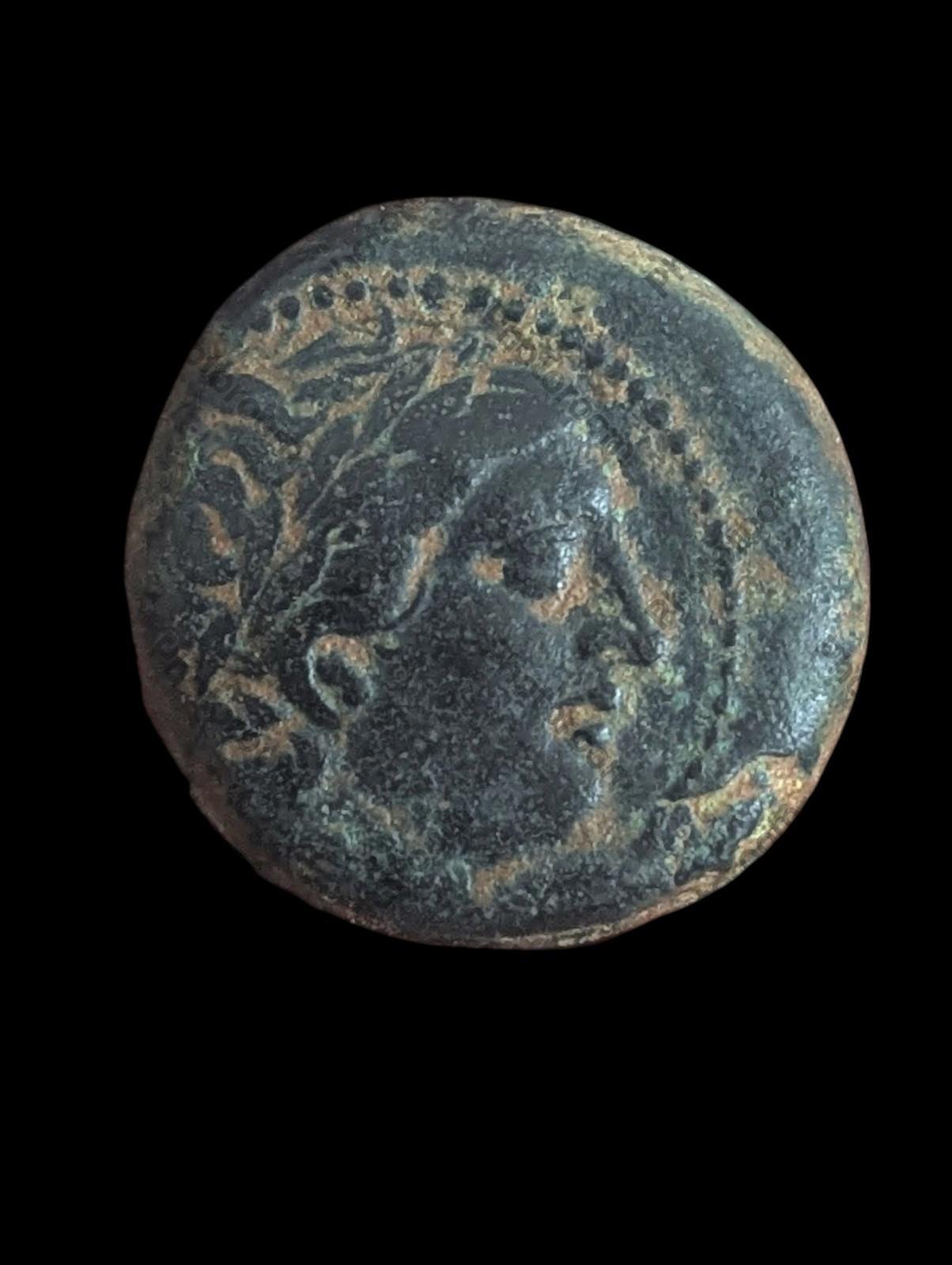 SELEUKOS I Nikator 300BC Authentic Ancient SELEUKID Greek Coin ATHENA Wow Grade - Numis Hobby Shop
